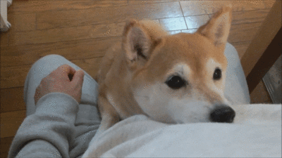 港式烧腊美食图片真实高清_广东美食俚语_广东烧腊文化